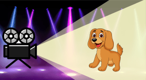 原创动物剪影趣味课件