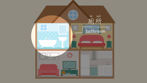 聚光灯house趣味互动课件